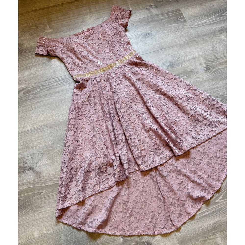 LA Scala Blush Lace Dress with Sequin Detail-size S